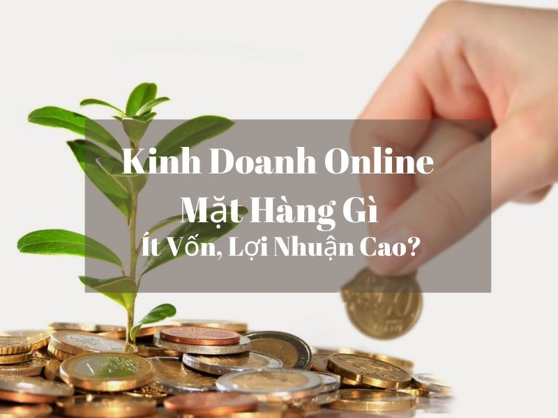 Kinh doanh online mặt hàng gì